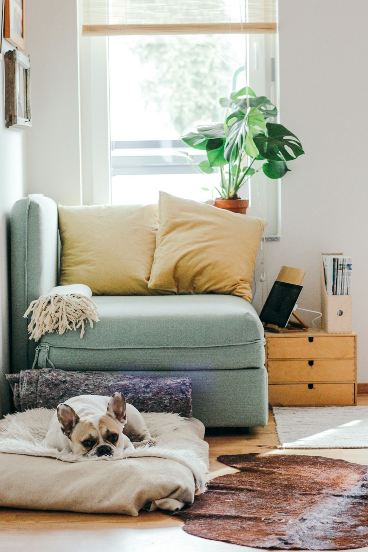 Newly completed Australian home interior